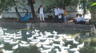  Vận động tiêu dùng gia cầm sạch