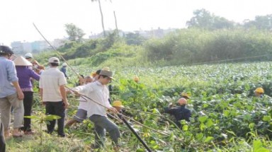  Thi công gây tắc dòng chảy, phát sinh muỗi