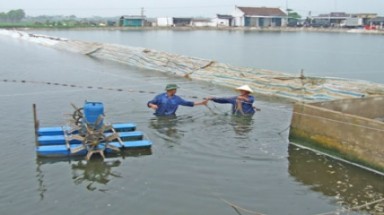 Sóc Trăng:Xây cống khiến nhiều ao tôm thiếu nước