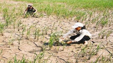  Giảm nhẹ rủi ro dựa vào cộng đồng, gắn với biến đổi khí hậu 