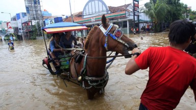  Jakarta úng ngập vì... rác