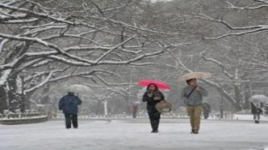 Tuyết rơi dày ở Nhật Bản, 43 người bị thương