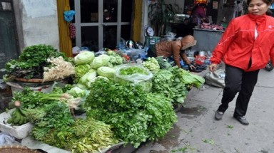  Cọng rau tử tế!