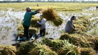  Lấy ý kiến về các Nghị định quy định chi tiết thi hành Luật Đất đai 2013