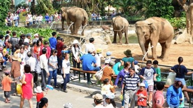  Bắc Bộ nắng dịu, trời mát, thuận lợi cho các lễ hội đầu năm mới