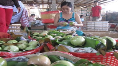 Đồng bằng sông Cửu Long: Giá nông sản trồi sụt thất thường