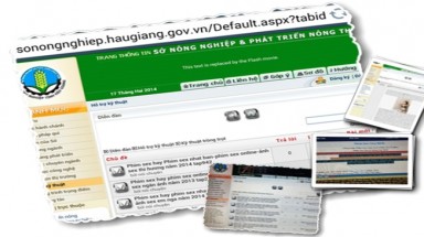  Đề nghị công an điều tra vụ "giới thiệu" phim sex trên trang điện tử Sở Nông nghiệp Hậu Giang