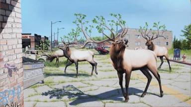   “Mặt khuất  thế giới” của Josh Keyes