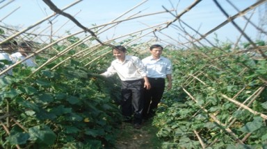  Hiệu quả mô hình sinh kế thích ứng với biến đổi khí hậu