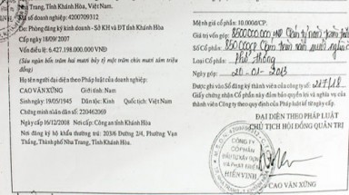   Vụ "nổ" như Rừng Toàn Cầu: Góp vốn bằng cổ phiếu tự in