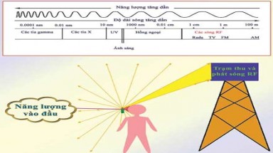  Điện thoại di động có gây ung thư không ?