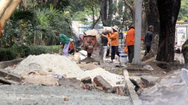  ​Tín hiệu mừng cho cây xanh TP.HCM