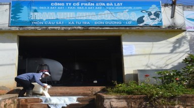  Vì sao Dalat Milk ngưng mua sữa có tỉ lệ nước trên 4%?