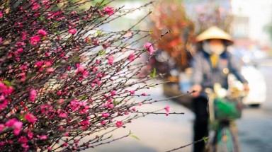  Thời tiết ngày 15 tháng 2: Miền Bắc giảm mưa, trưa chiều trời hửng nắng