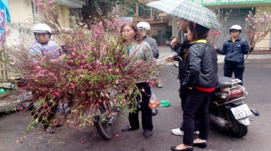  Thời tiết ngày 14 tháng 2: Miền Bắc chìm trong mưa rét trong Ngày Lễ tình nhân