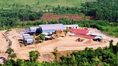  Quảng Nam: Sẽ tước giấy phép của Tập đoàn vàng Besra nếu tiếp tục nợ thuế