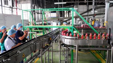  Vụ "thanh tra một ngày" Tân Hiệp Phát: Không đủ điều kiện để tin cậy