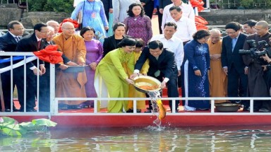  Chủ tịch nước thả cá chép theo truyền thống người Việt