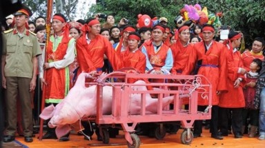   Điều chỉnh tục chém lợn tại Lễ hội làng Ném Thượng
