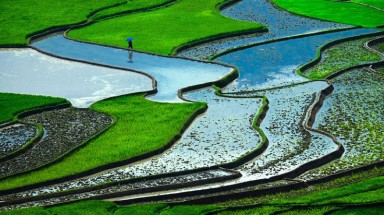   Ruộng bậc thang Việt Nam vào top 10 cảnh quan màu sắc nhất thế giới