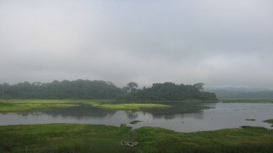  Trở lại Cát Tiên kỳ thú