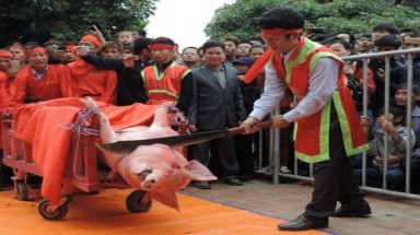   Loay hoay "chém lợn", "rước lợn"