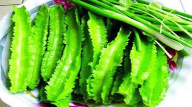 Chữa đau bao tử bằng đậu rồng