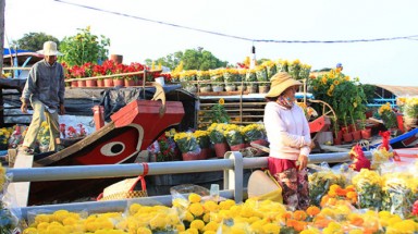  Mất tết vì hoa dội chợ