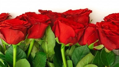 Hoa hồng chữa bệnh đường tiêu hóa