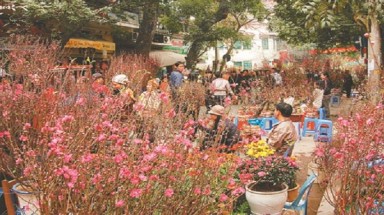   Mùng 1 và 2 Tết Nguyên đán, miền Bắc có mưa nhỏ vài nơi, rét nhẹ về đêm và sáng 