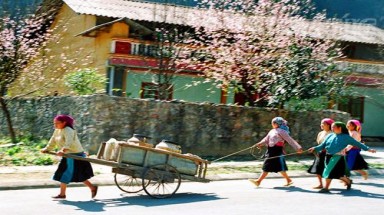  Thời tiết ngày 24 tháng 2:  Cả nước nắng ráo trong ngày làm việc đầu tiên sau kỳ nghỉ Tết 