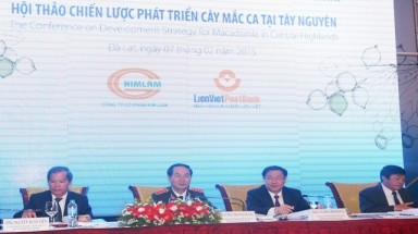  Tây Nguyên: Nghiên cứu trồng 250.000ha cây mắc ca trong 5 năm tới 