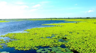  U Minh Thượng trở thành Khu Ramsar thứ 2228 của thế giới