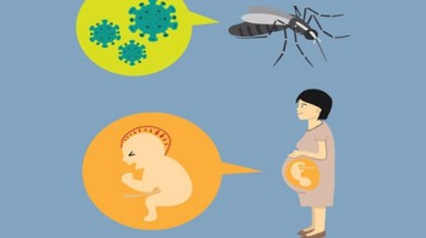  Phụ nữ cần tự bảo vệ mình để tránh nhiễm vi rút Zika