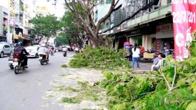 TP HCM NGÀY CÀNG NGỘT NGẠT: “Bóp chẹt” mảng xanh