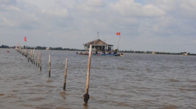  Cà Mau: “Xẻ thịt” đầm Thị Tường