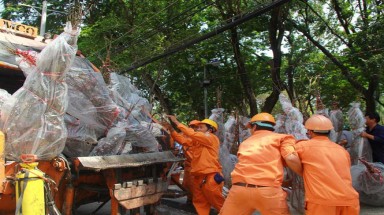   Sài Gòn chiều cuối năm, đào mai lên xe rác