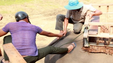 Khu du lịch Buôn Đôn: Nhổ lông đuôi voi bán cho du khách