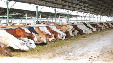   Hoàng Anh Gia Lai: Nợ và những mối lo