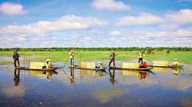  Chung tay phòng chống mặn cho vùng vựa lúa