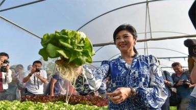 Cựu Thủ tướng Thái xinh đẹp họp báo khoe rau tự trồng