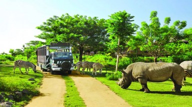  Vụ thú chết ở Vinpearl  Safari Phú Quốc đang bị chìm xuồng?