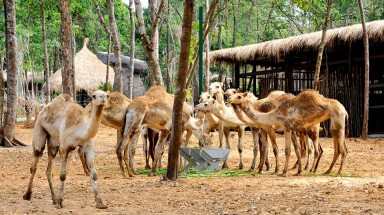  Ứng dụng công nghệ bảo tồn đa dạng sinh học