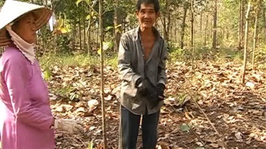  Lằng nhằng quanh việc thu gom lá cây quý