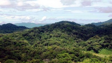  Tham quan khu bảo tồn hoành tráng vừa hoàn thành