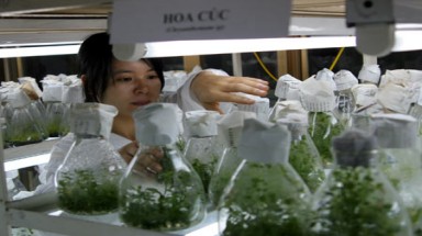   Ngành Nông nghiệp thiếu đề tài khoa học ứng dụng thực tế 