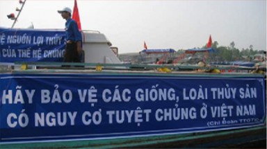   Nhân ngày truyền thống ngành thủy sản Việt Nam (1/4): Thả 1,5 triệu tôm, cá giống về tự nhiên 