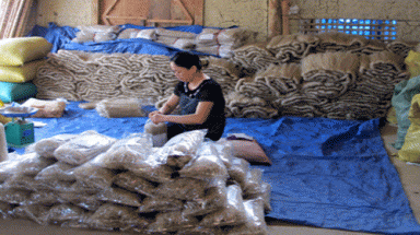  Công nghệ NANO ứng dụng vào đặc sản miến dong