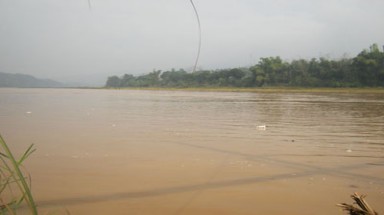  Mực nước sông Hồng qua Lào Cai cao bất thường