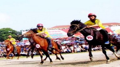  Tròn mắt ngắm ngựa thồ chạy đua